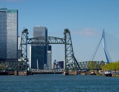 Jeff Bezos podpadł mieszkańcom Rotterdamu. Dla jego zachcianki...