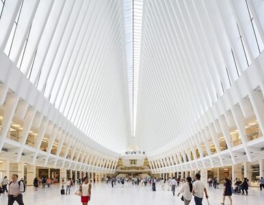 Snop światła w hołdzie ofiar World Trade Center. Zdumiewający projekt w...