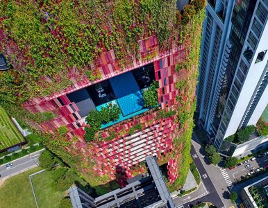 Wieżowiec w liściach. Nowe zdjęcia zielonego hotelu w Singapurze
